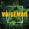 D'ay & Dminor - Voicemail (feat. Ivandro) - Single